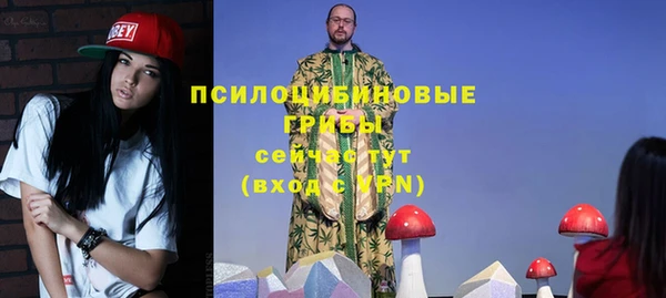 Альфа ПВП Алзамай