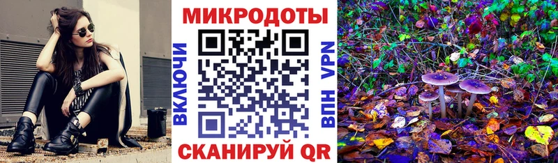 Галлюциногенные грибы Psilocybine cubensis  что такое   Анадырь 