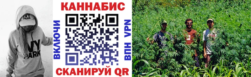 где продают наркотики  Анадырь  Конопля гибрид 
